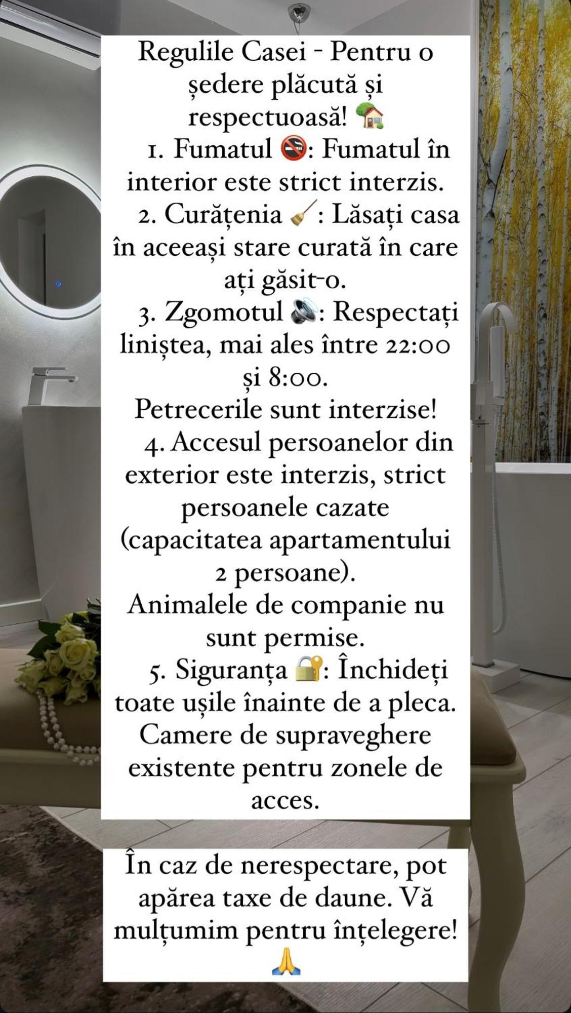 Am Apartments 13 Тимишоара Экстерьер фото